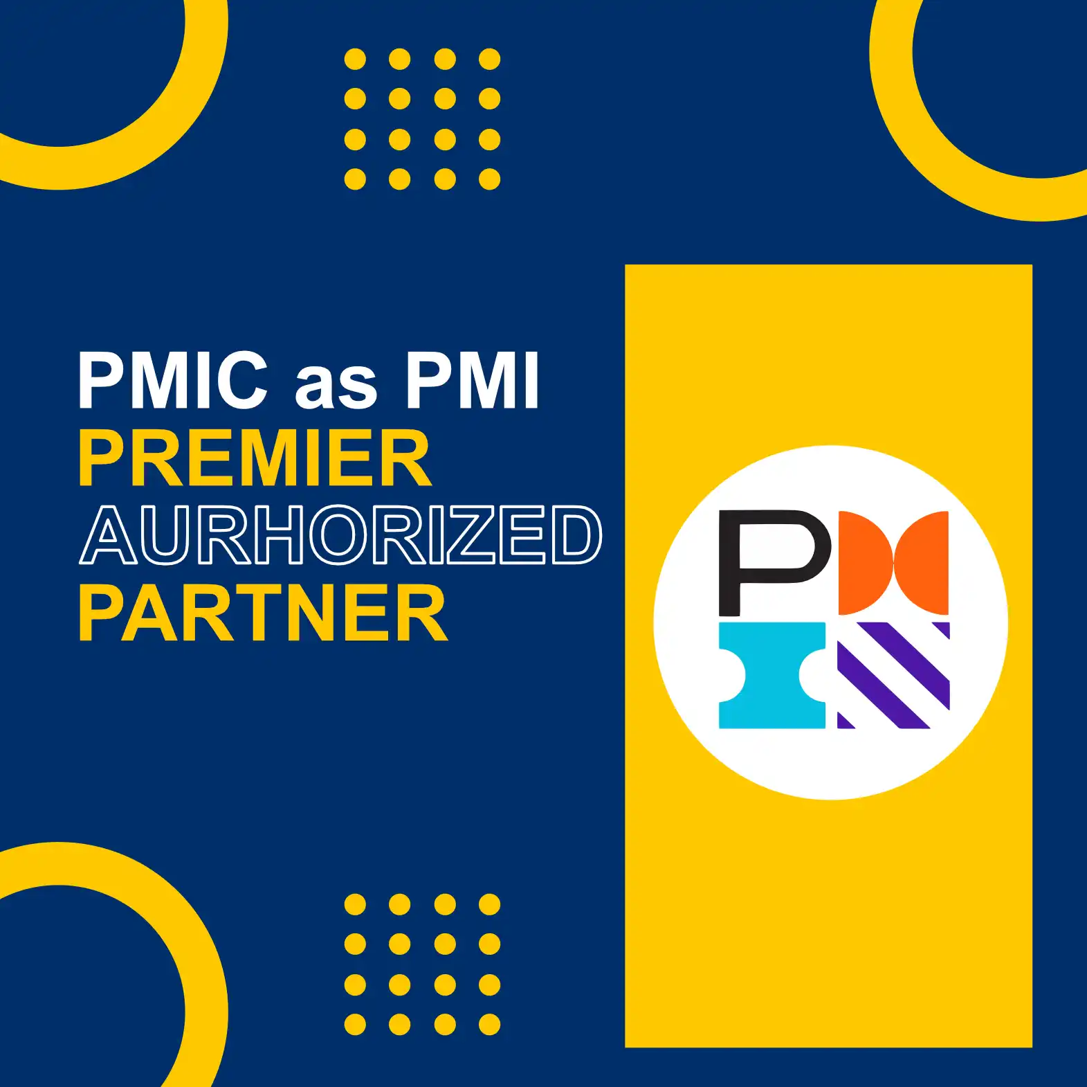 The Executive’s Guide to PMI: Elevate Your Career ...